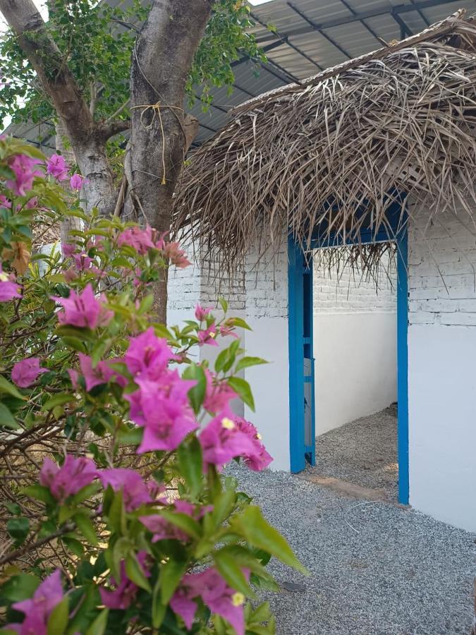 Hostel Calaila Варкала Екстер'єр фото